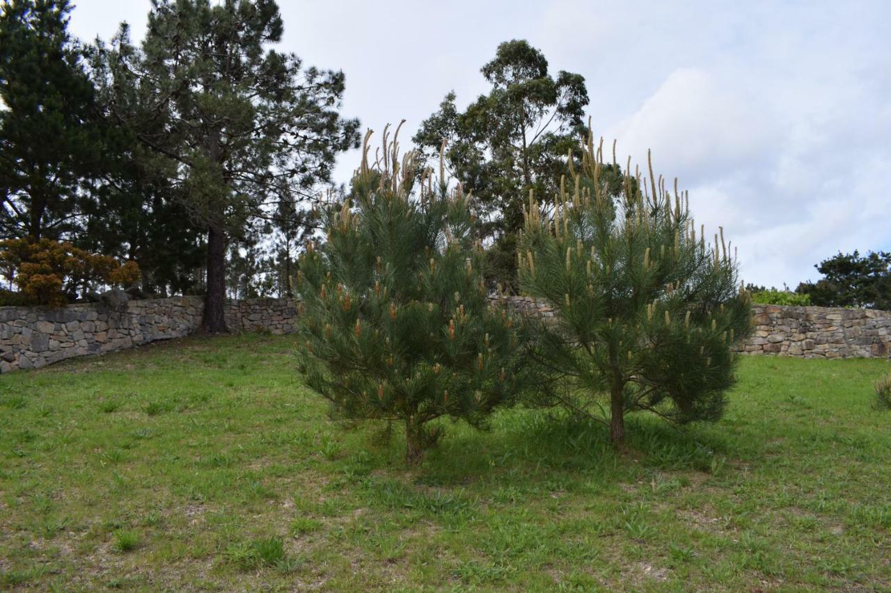 Penzion Xavina Camariñas Exteriér fotografie
